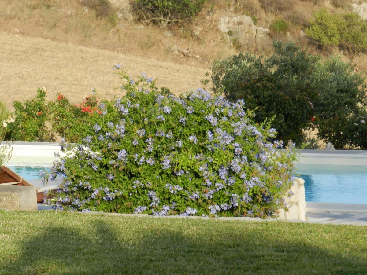 Masseria Acque Di Palermo *